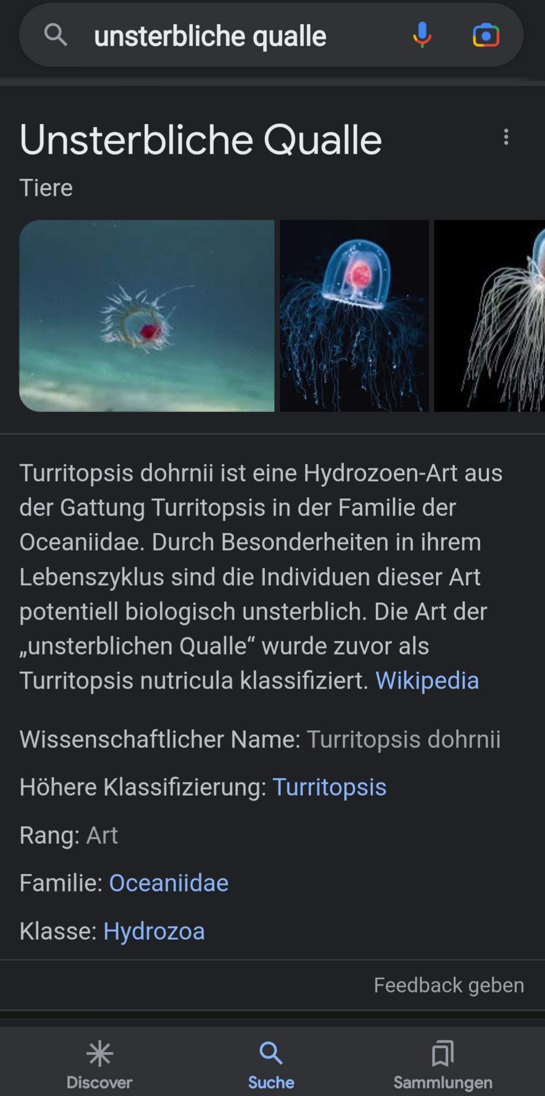 Unsterblichkeit MÖGLICH auch beim Menschen? (Leben)