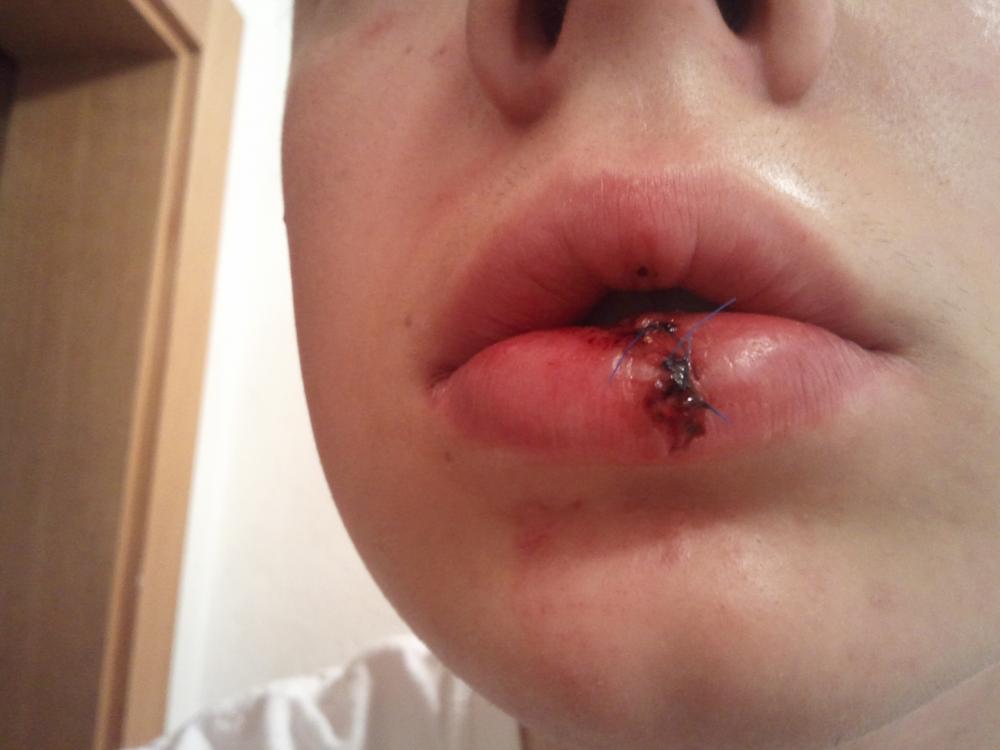 Ich habe gar kein auto Ich habe gar kein auto