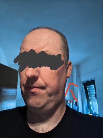 Bild zum Beitrag