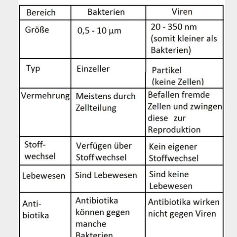 Unterschied Bakterien Und Viren Schule Biologie Unterschied Bakterien Und Viren Schule Biologie