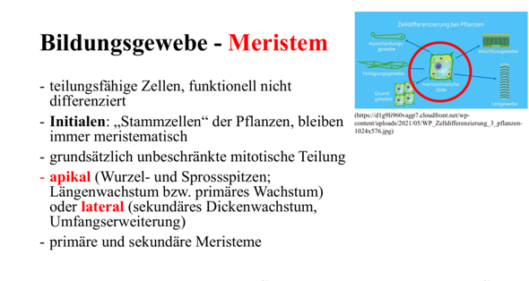 Bild zum Beitrag