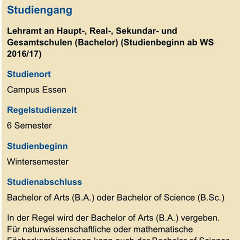Hier steht „Bachelor“ und WS - (Schule, Ausbildung und Studium, Studium)