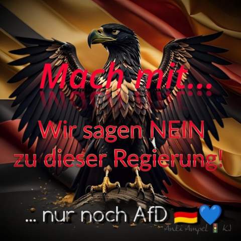 Bild zum Beitrag