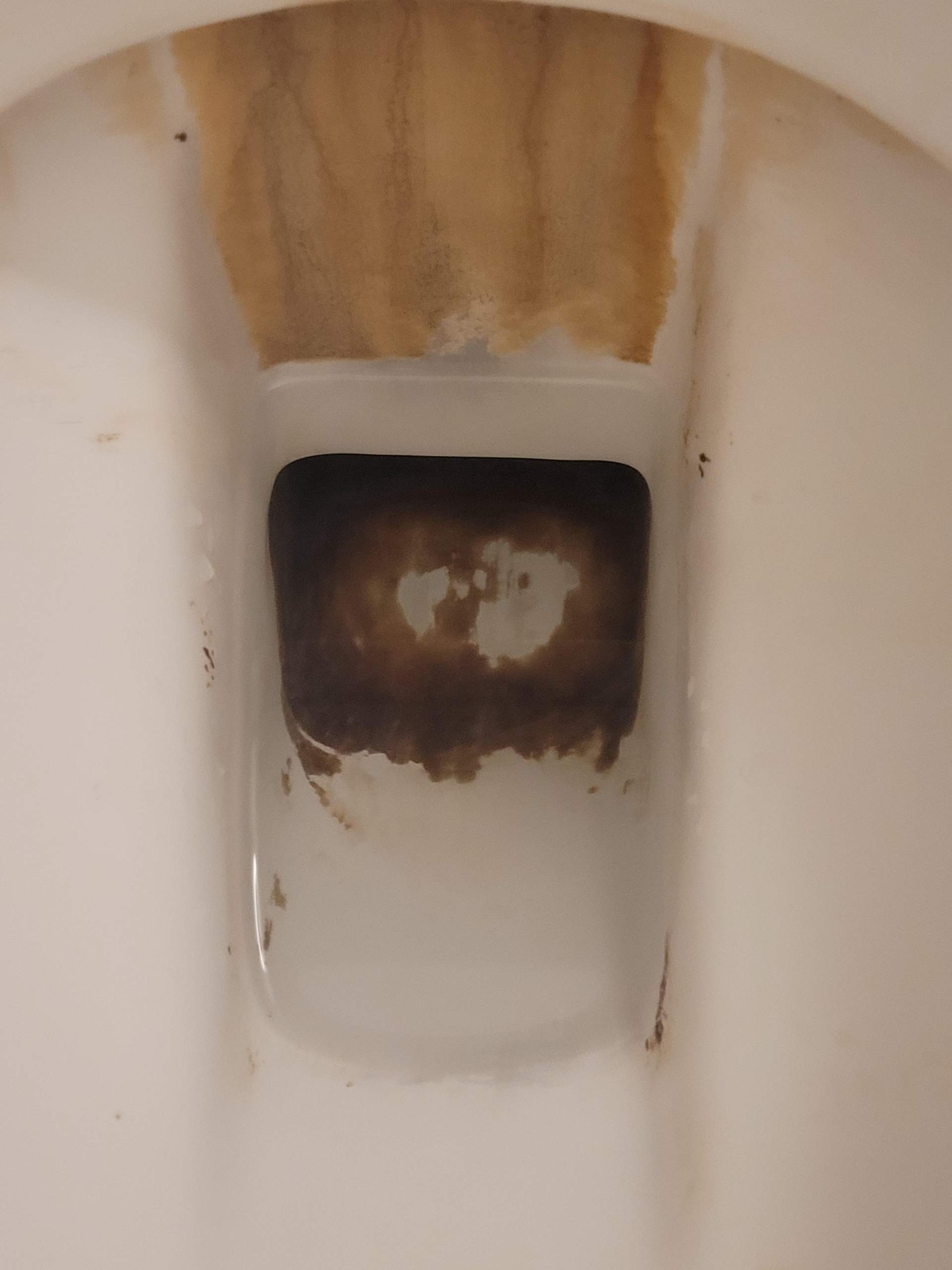 Urinstein Urinstein /Kalkstein Toilette? (Reinigung, putzen)