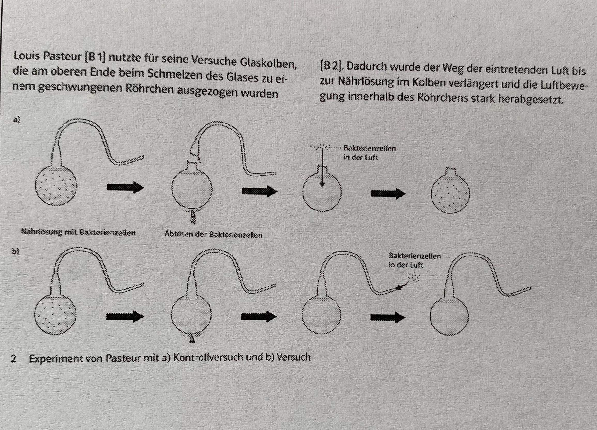 experiment deutsch