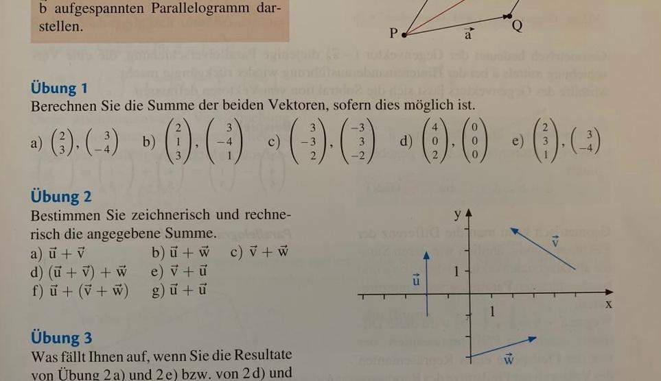 Vektoren bestimmen? (Schule, Mathe, Mathematik)