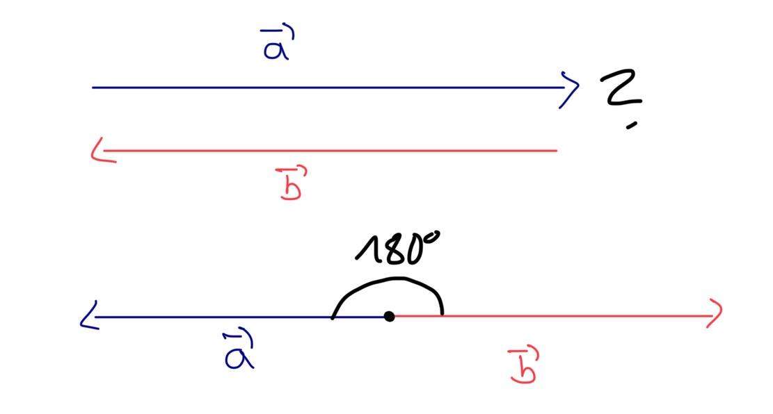 Vektoren und Winkel? (Schule, Mathematik, Lehrer)