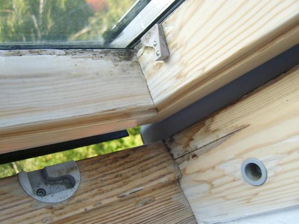 Zustand Dachgeschoss-Fenster  - (Haus, Reparatur, Holz)