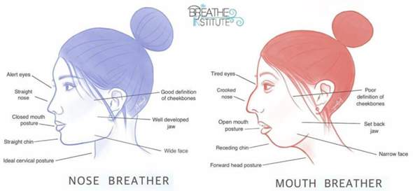 Verändern sich die Gesichtszüge wenn man durch den Mund atmet anstatt durch die nase?