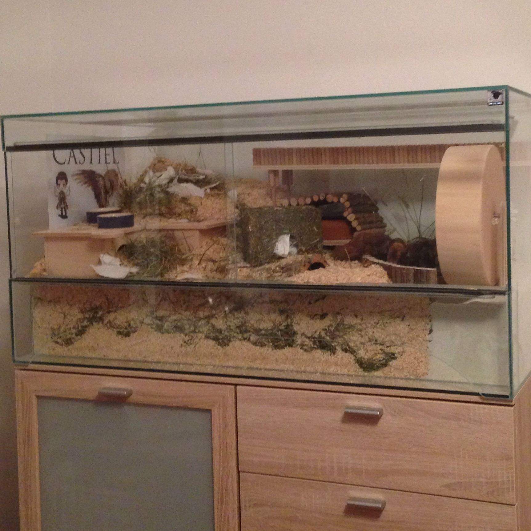 Verbesserung für mein Nagarium? (Ernährung, Tiere, Sport und Fitness)