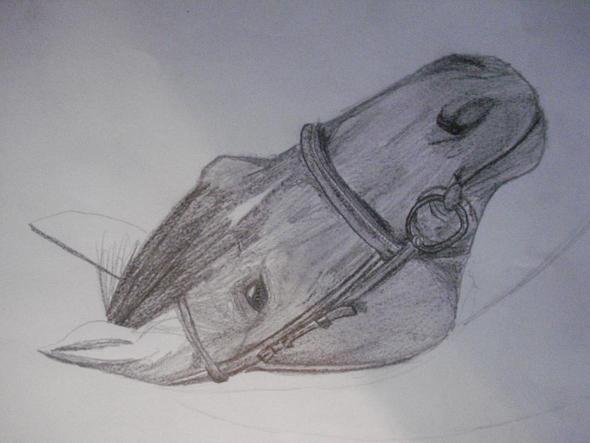 Verbesserungen Zum Pferd D Pferde Zeichnen