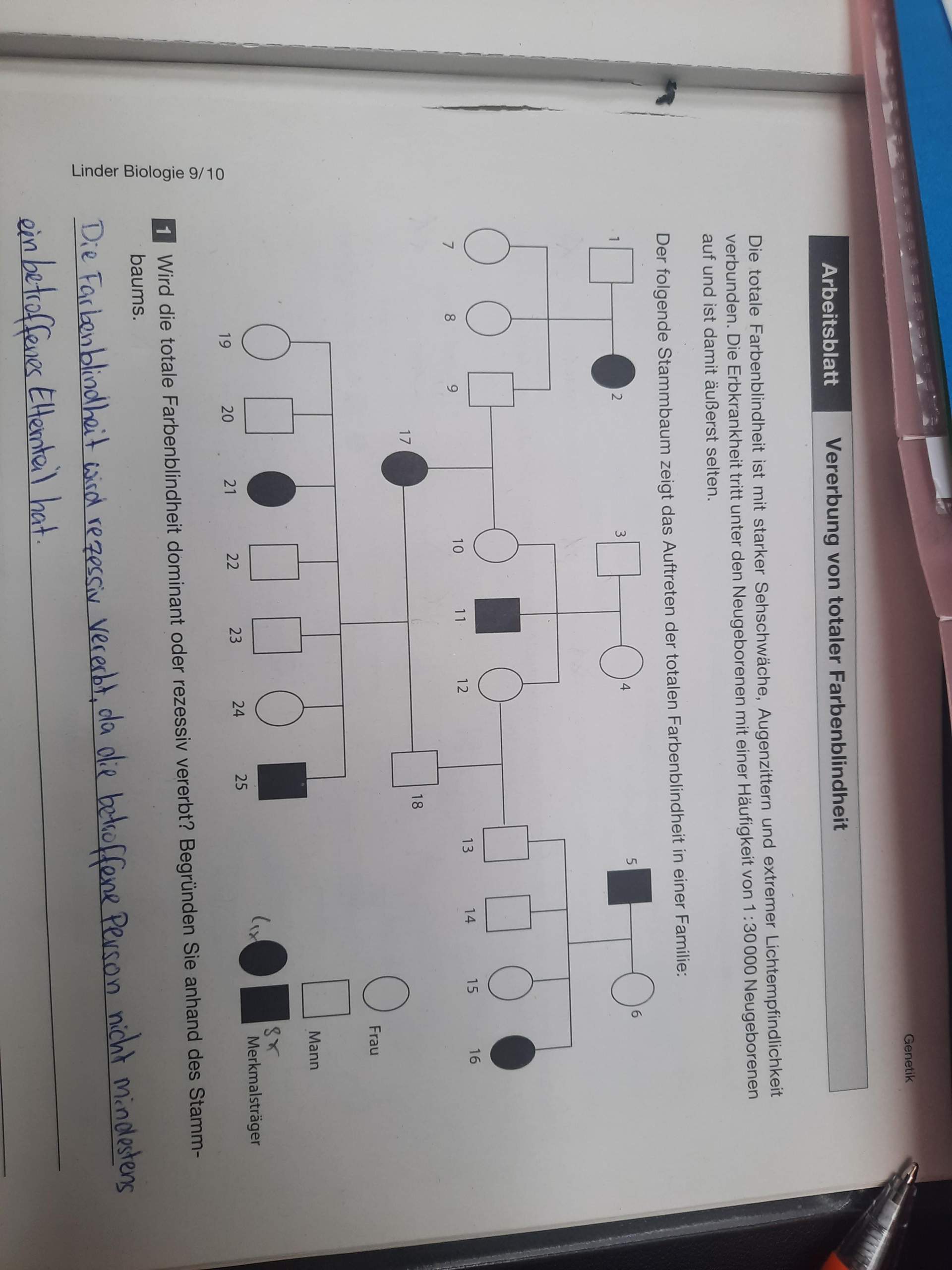 Stammbaum der Farbenblindheit