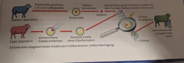 Bild zum Beitrag