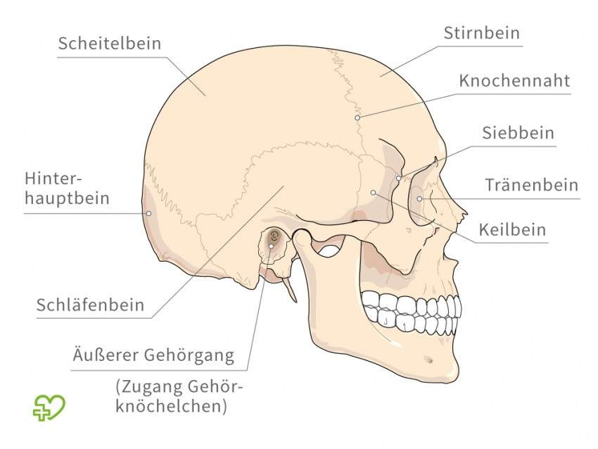 Verformter Hinterkopf(? (Gesundheit, Medizin)