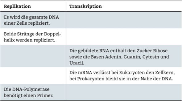  - (Biologie, Genetik, DNA)