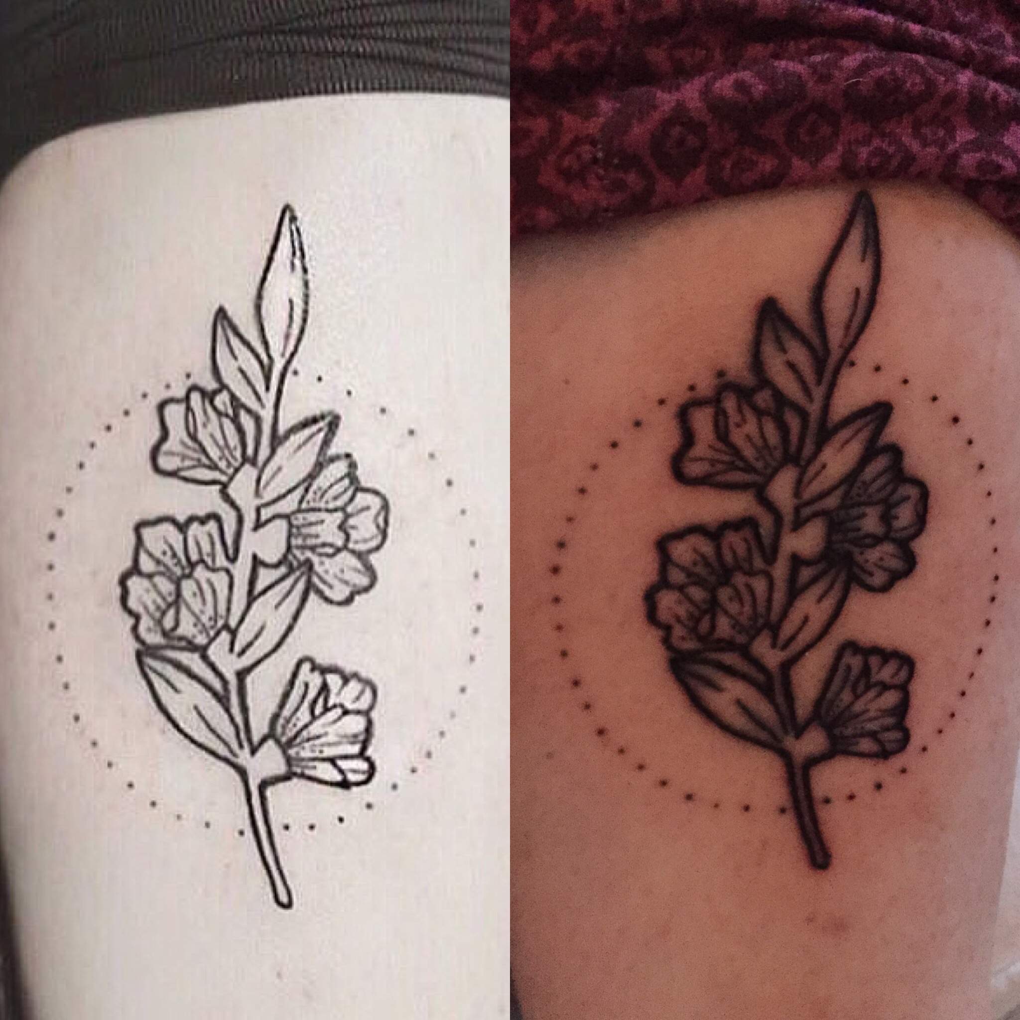 Verlauft Mein Frisch Gestochenes Tattoo Gesundheit Kunst Pflege Verlauft Mein Frisch Gestochenes Tattoo Gesundheit Kunst Pflege