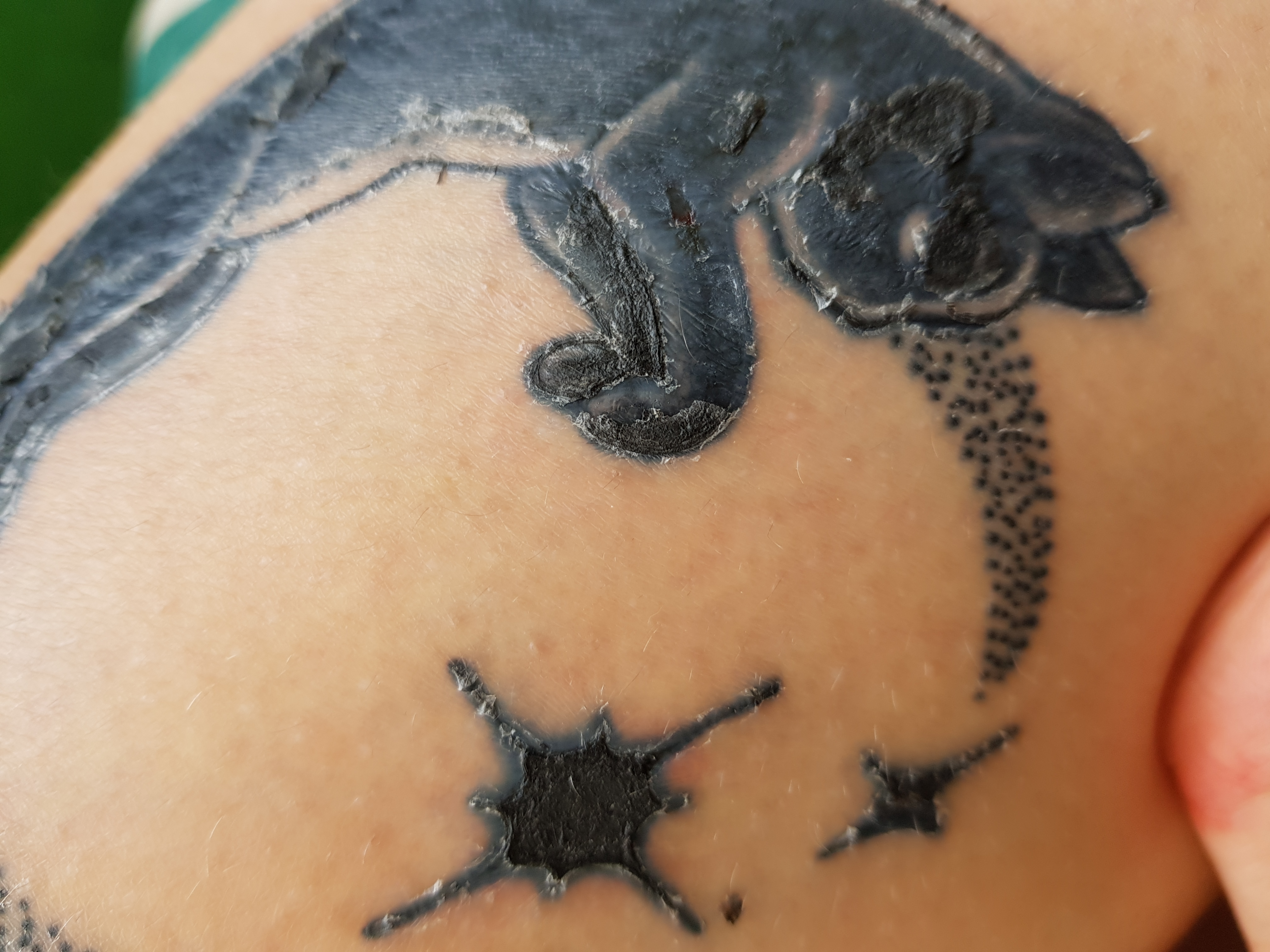 Verlauft Mein Tattoo Haut Tattoostudio Tattoowierer