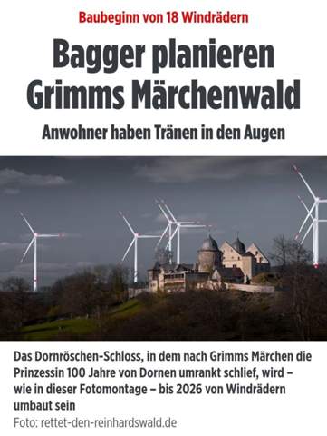 Bild zum Beitrag