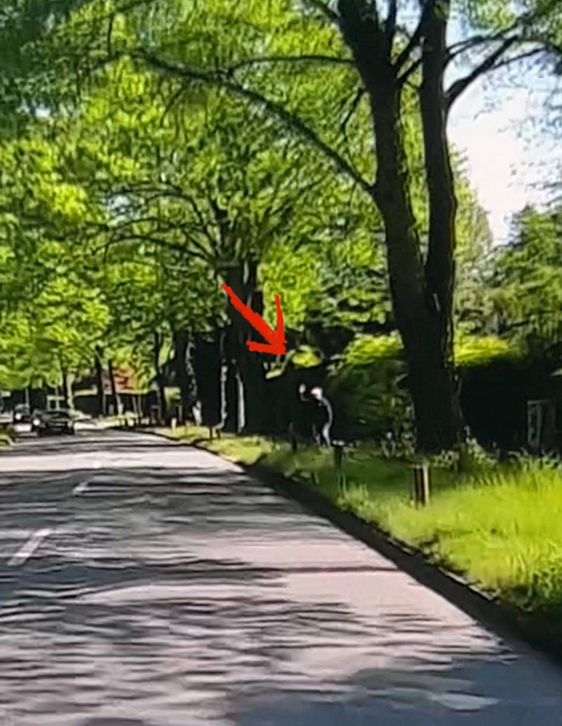 Verrückter Mann zeigt Mittelfinger? (Polizei, Motorrad, Anzeige)
