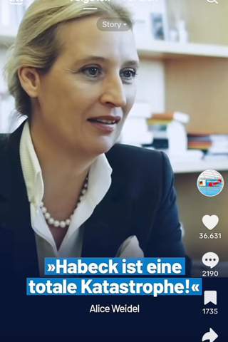 Bild zum Beitrag