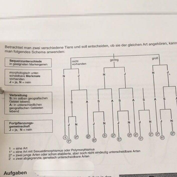 Versteht einer das Diagnoseverfahren? (Biologie, Evolution, Leistungskurs)