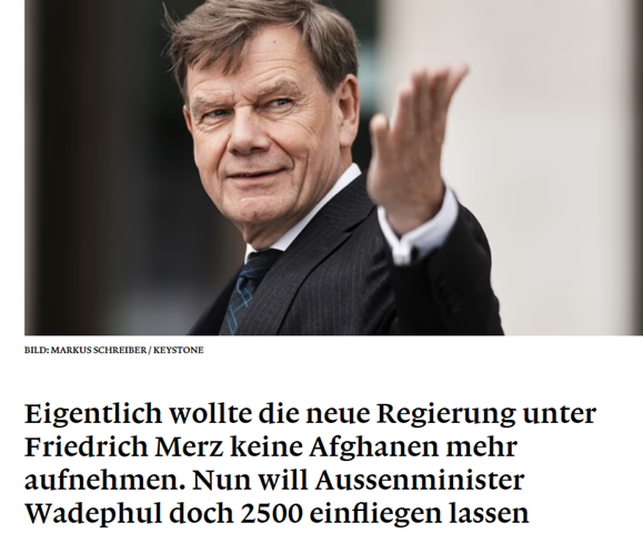 Bild zum Beitrag