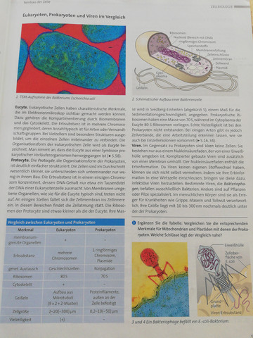 - (Schule, Biologie, Hausaufgaben)
