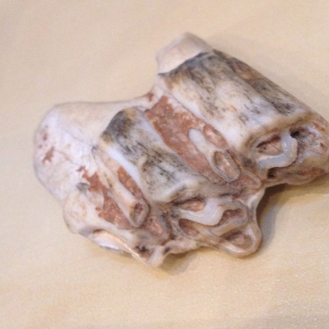 Frag doch mal Frag doch mal