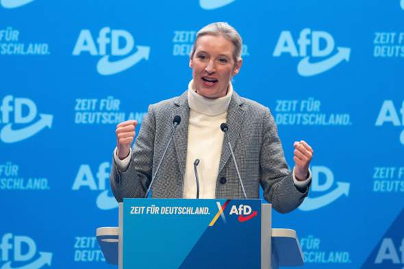 Bild zum Beitrag
