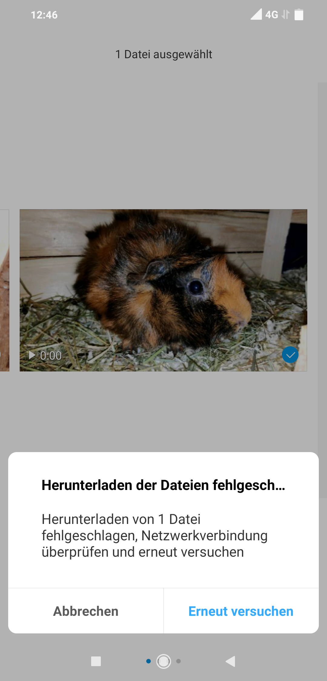 Videos Lassen Sich Nicht Abspielen