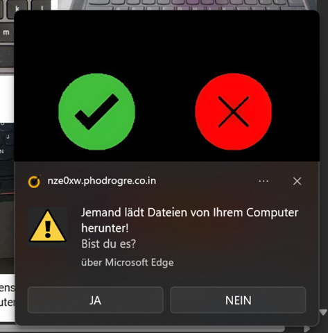 Bild zum Beitrag