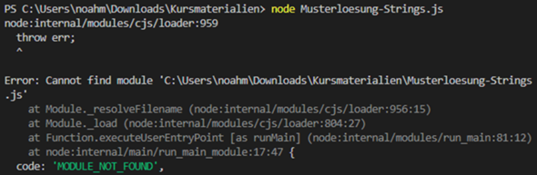 Visual Studio Code Fehler Terminal?