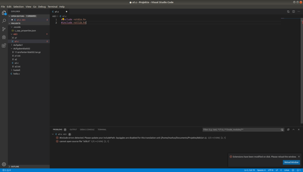 Visual Studio 2019 C Programmieren