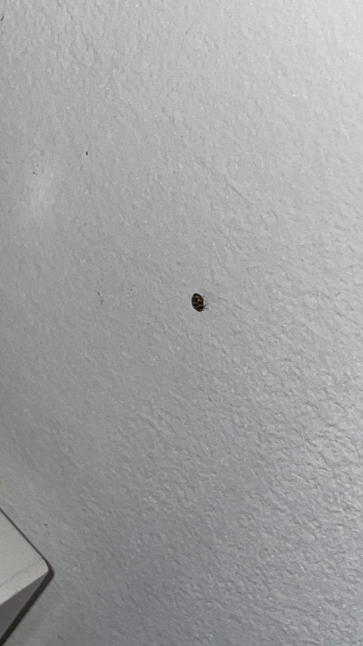 Wer Geht über Ein Feld Und Bewegt Sich Dennoch Nicht Vogel sitzt vorm Haus und bewegt sich nicht, was tun? (Tierarzt