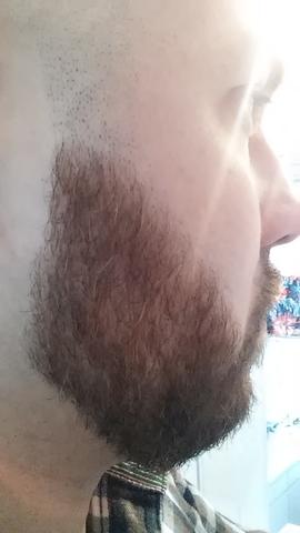 Vollbart Konturen Rasieren Bart