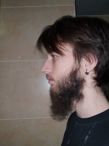  - (vollbart, langer Bart)