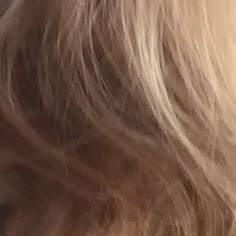 Meine aktuelle Haarfarbe xD - (Haare, Friseur, Haarfarbe)