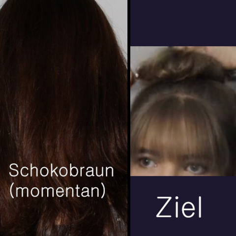 Von Schokobraun Auf Hellbraun Braun Blond Haare Beauty Haarfarbe