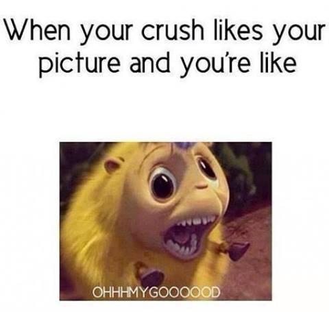 Oh my god :D - (Film, Tiere)
