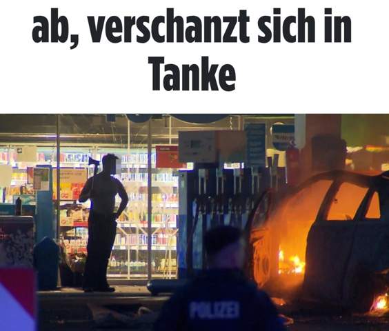 Bild zum Beitrag