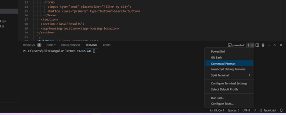 VS-Code im Terminal direkt cmd ausführen? (Programmiersprache, Visual ...