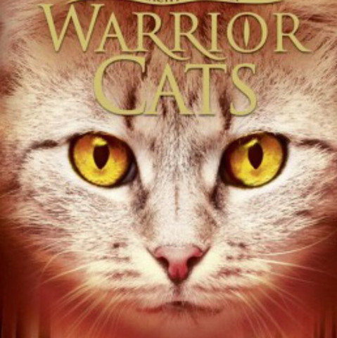 Sonnenaufgang  - (Katze, Name, Warrior Cats)