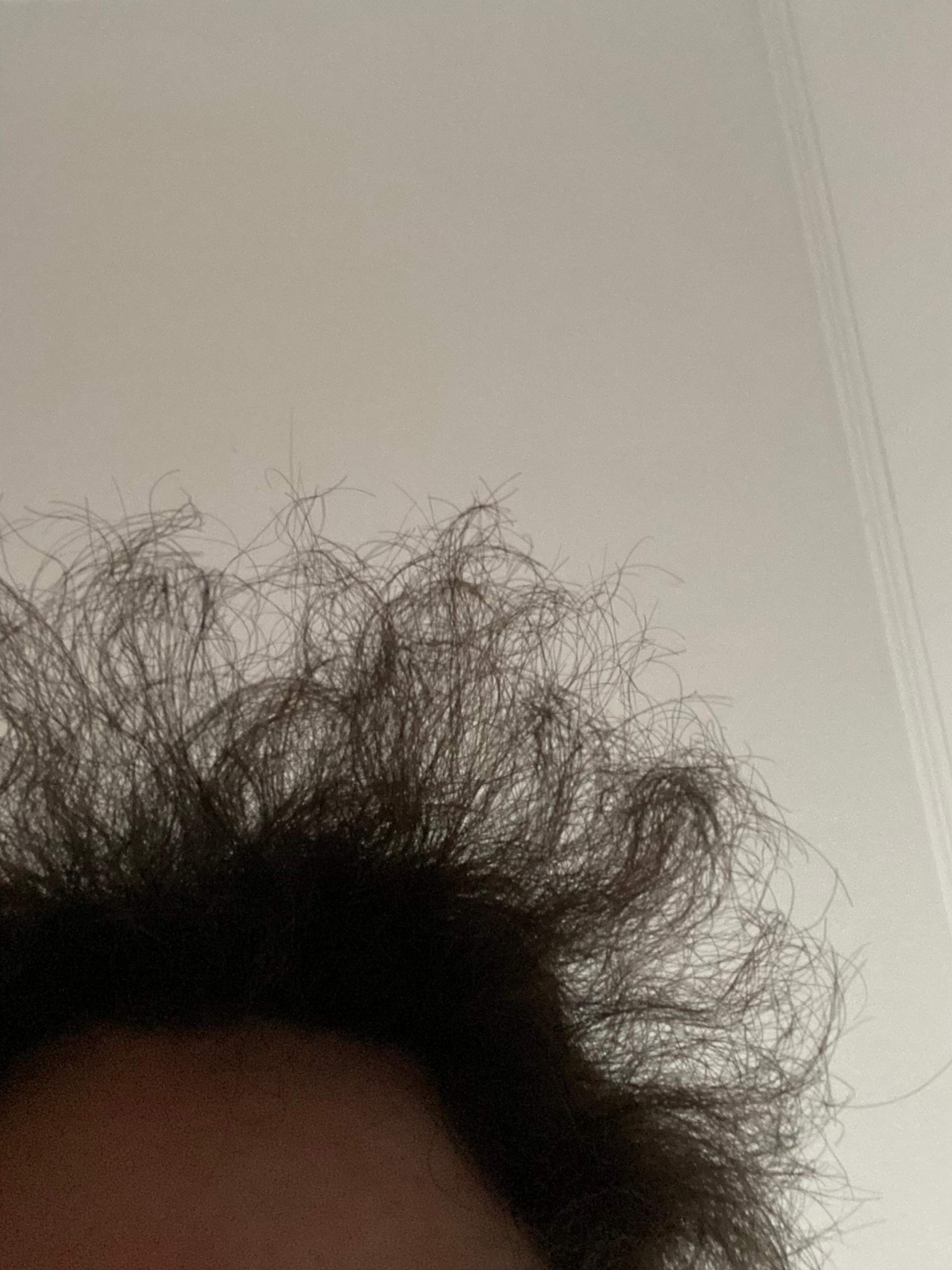 Wachsen Haare wieder gesund nach? (Aussehen, Friseur, Haarpflege)