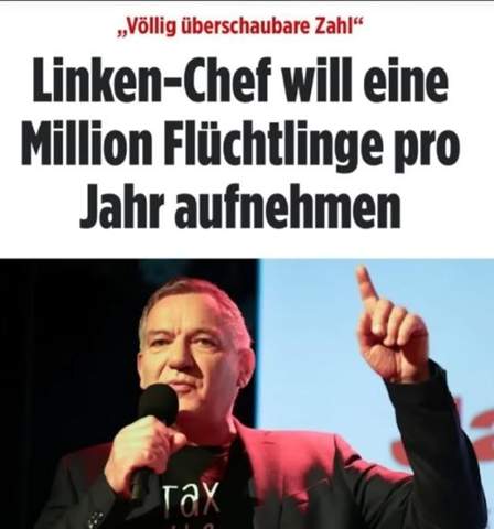 Bild zum Beitrag