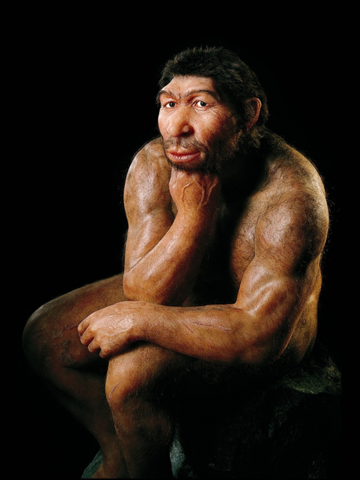 Wäre der Neandertaler, wenn er überlebt hätte heute ein Alpha Mann?
