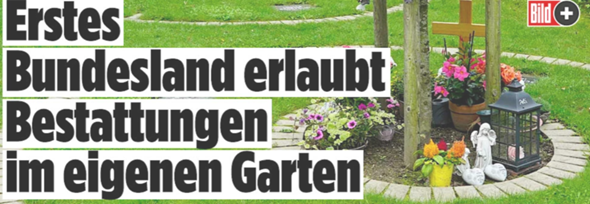 Bild zum Beitrag