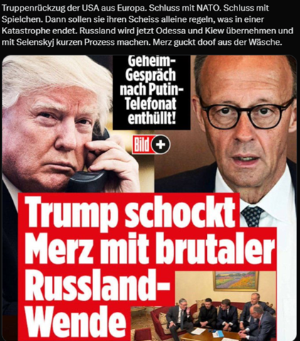 Bild zum Beitrag