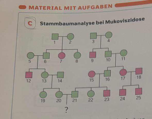 Bild zum Beitrag