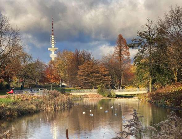 Bild zum Beitrag