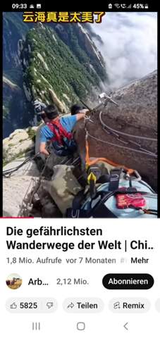 Bild zum Beitrag